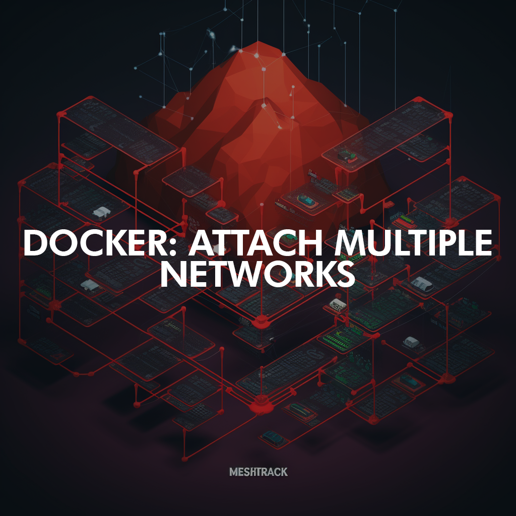 How to Attach Multiple Networks to Docker